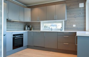 Kühlschrank, Mikrowelle, Herdplatte, Geschirrspüler