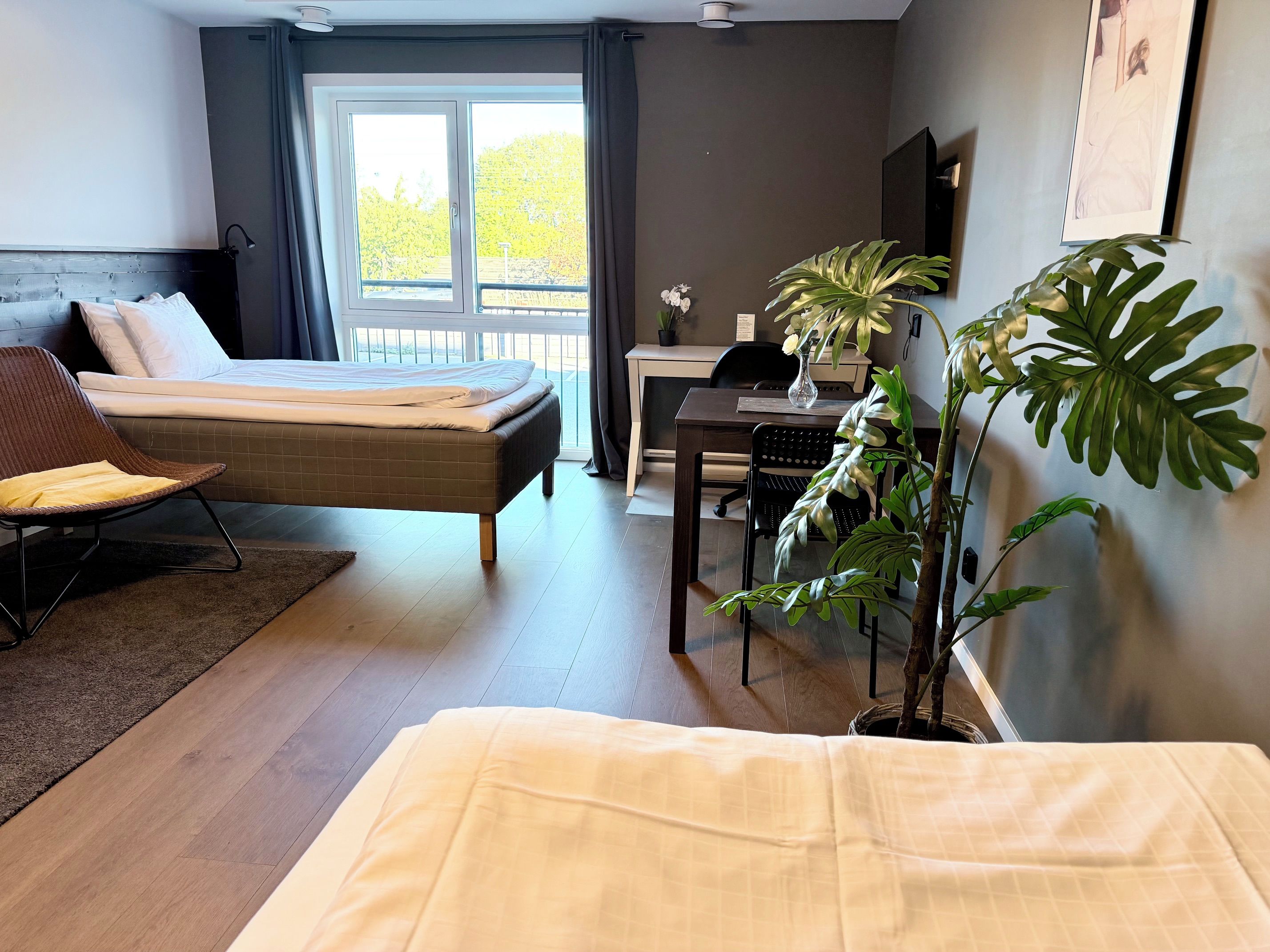 Ett hotellrum med en säng, en stol, ett skrivbord och en krukväxt.