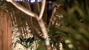 A stone wall with a wooden door, surrounded by greenery. - CityHouse VIBE City Oasis (Ho Chi Minh City)