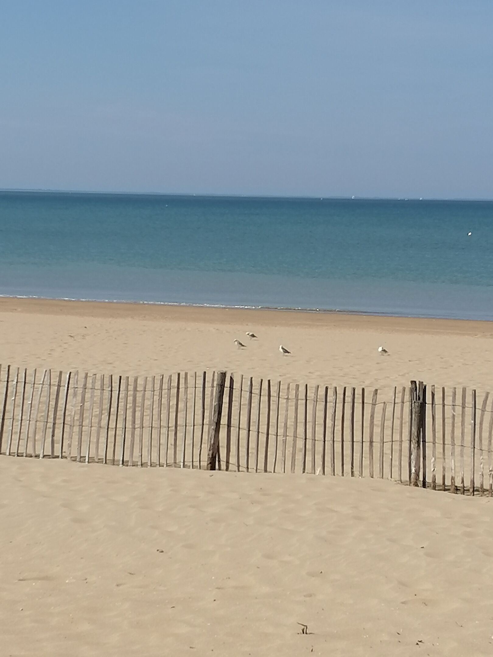 Ein Sandstrand mit einem Holzzaun im Vordergrund und einem ruhigen Meer im Hintergrund.