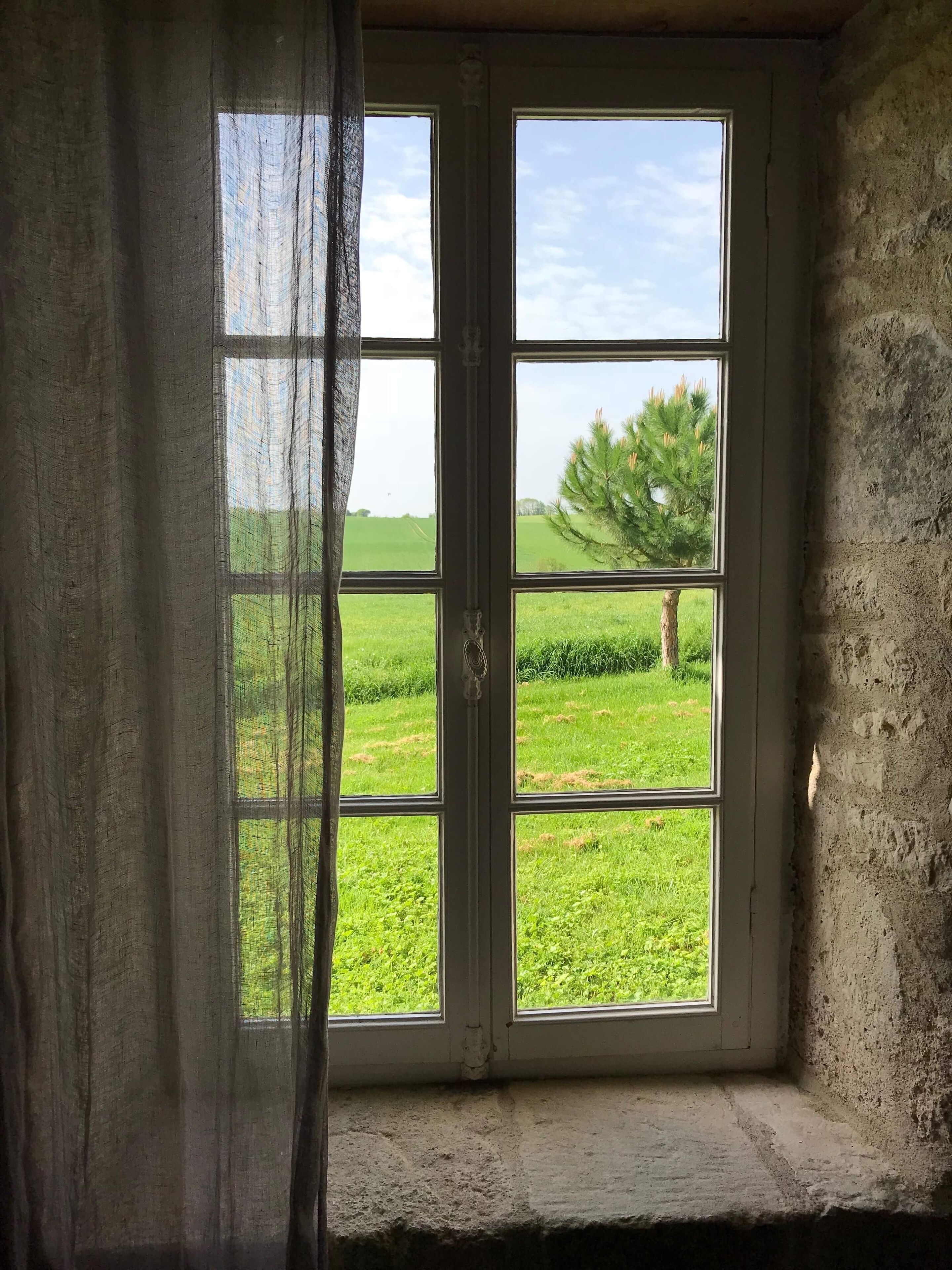 A window with a view of a green field and a tree.