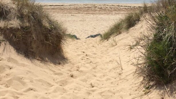 Un sentier de sable qui longe la plage et mène à l’océan, avec des dunes de chaque côté.