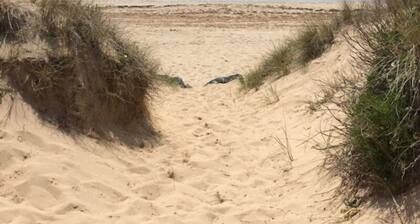 Farmhouse - Traditional Farmhouse near La Rochelle. beaches 20 mins and a pool.