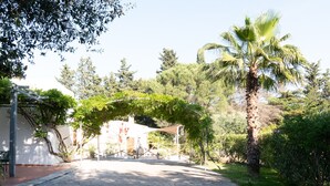 Um caminho pavimentado leva a um edifício com entrada coberta, cercado por vegetação e árvores.