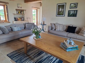 Televisor, llar de foc, taula de tennis de taula i llibres