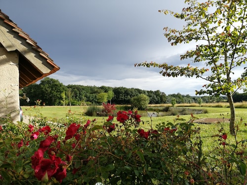 Charming gîte a stone's throw from Beauval zoo