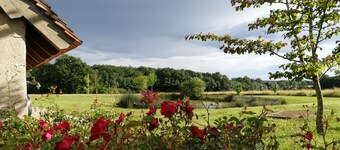Charming gîte a stone's throw from Beauval zoo