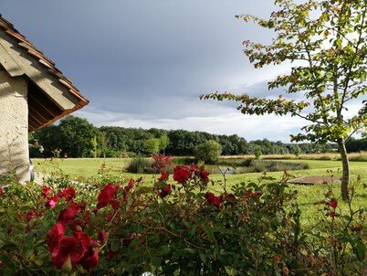 Charming gîte a stone's throw from Beauval zoo