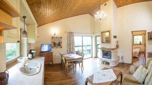 TV, fireplace, foosball - Lake House (Mądrzechowo)