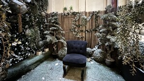Une pièce avec un fauteuil bleu foncé, une clôture en bambou et diverses plantes en pot.