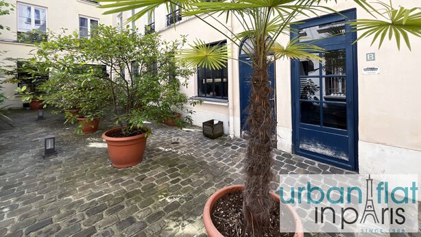 Un cortile con piante in vaso e una palma al centro.