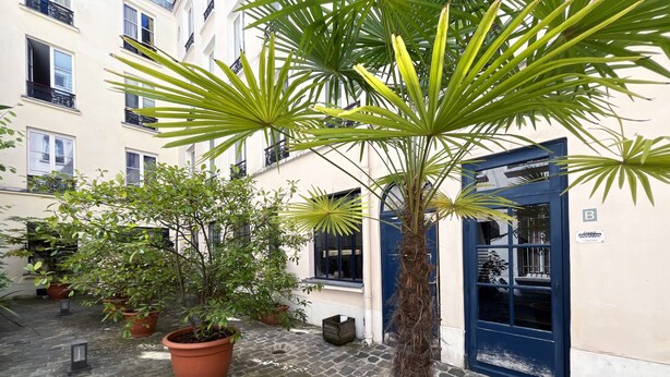 Un patio con plantas en macetas y una palmera en el centro.