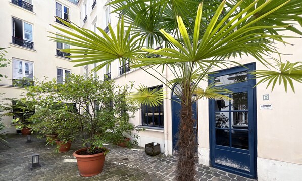 Une cour intérieure agrémentée de plantes en pot et d’un palmier au centre.