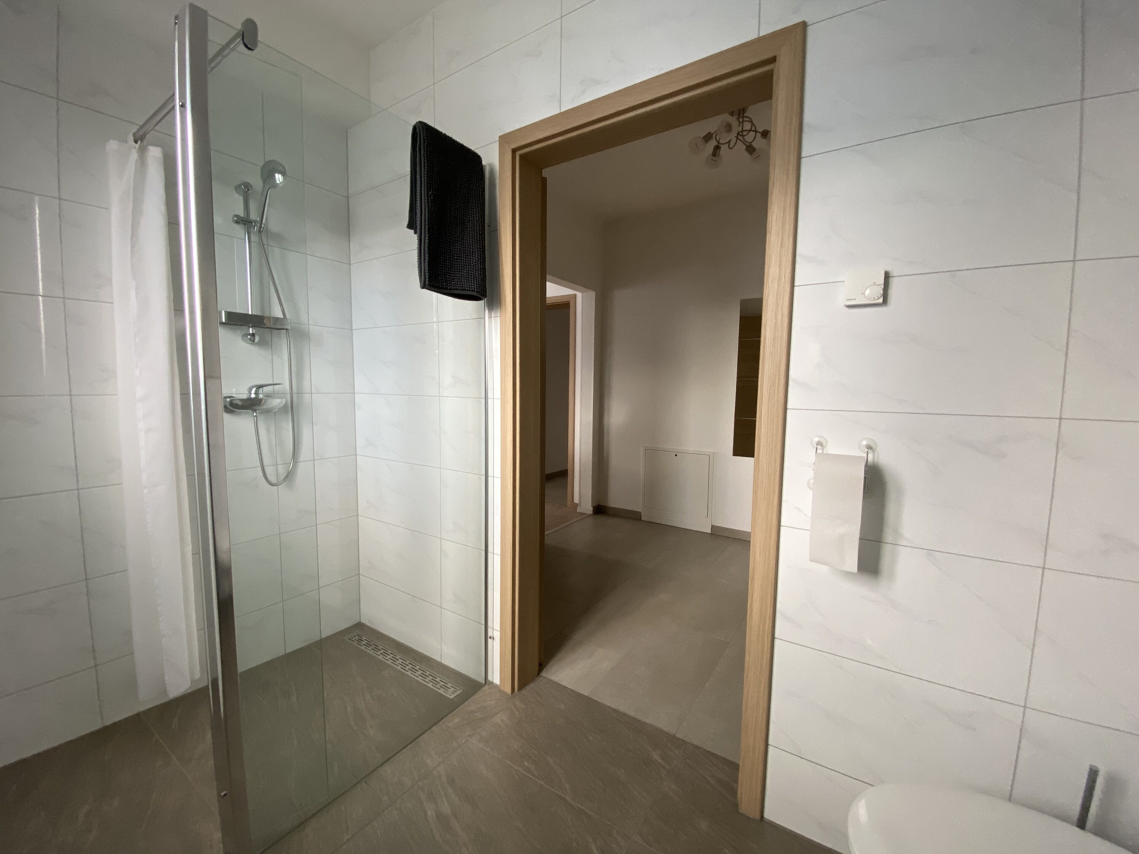 Dusche, Haartrockner