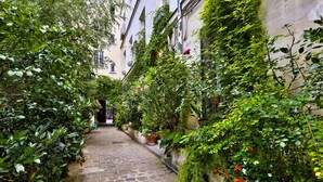 A narrow stone pathway flanked by lush greenery and potted plants, leading to a building entrance.