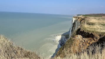 Plage à proximité, chaises longues, serviettes de plage