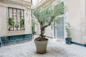 A potted olive tree in a courtyard with a cobblestone floor and a building with a window and a door in the background. - Urban Flat 25 -  Fun Duplex in Montorgueil (París)