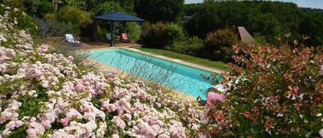 Piscine extérieure, piscine chauffée