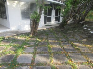 Un chemin pavé, recouvert de dalles de pierre et parsemé de quelques touffes d’herbe, mène à un bâtiment à l’extérieur blanc, près duquel se trouve un arbre dont les racines sont apparentes.