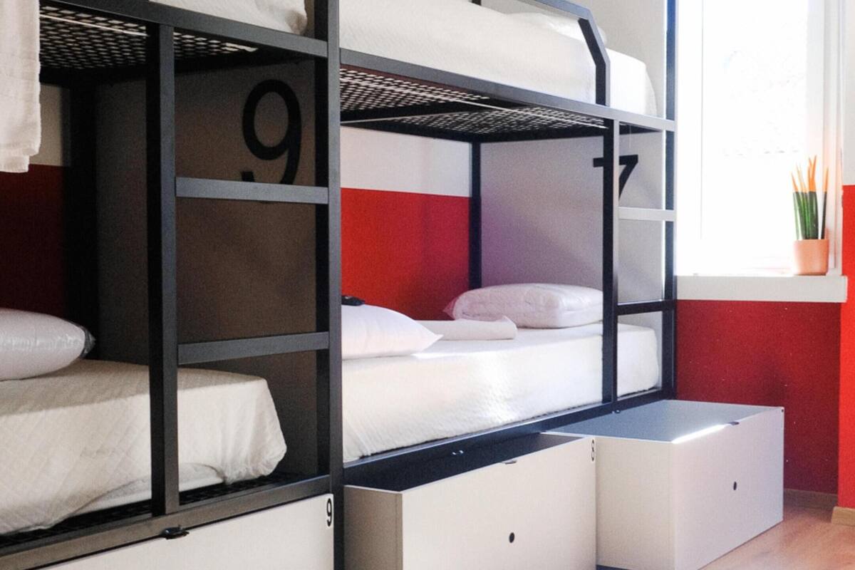 Une chambre avec des lits superposés, portant les numéros 8, 9, 10 et 11, un plancher en bois et une fenêtre avec une plante.