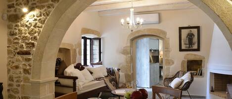 TV, fireplace, books