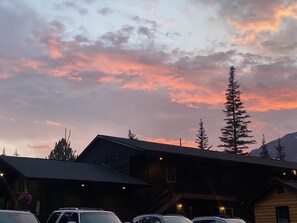 Studio, 1 queensize-seng (Single Queen Studio) | Terrasse/patio