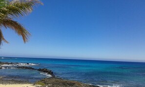 A coastal scene with clear blue water, rocky shoreline, and a palm tree. - Fantastic location, 2 bed 2 bathroom property, stunning views, private Jacuzzi. (Haría)