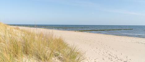 Plage à proximité, chaises longues