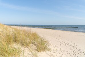 A sandy beach with dunes and a wooden jetty extending into the water.