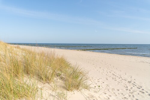Ferienhaus Ferienwohnung Usedom Koserow 8 Personen Ostsee Mecklenburg Vorpommern