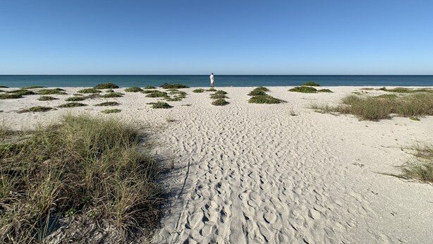 A sandy beach with sparse vegetation and a clear blue sky. - Stand alone villa  (Venice)