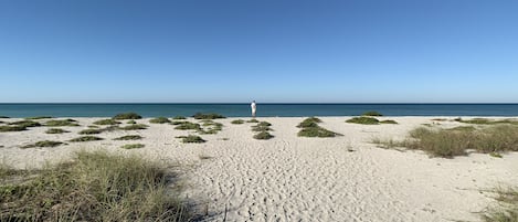 In Strandnähe, Liegestühle