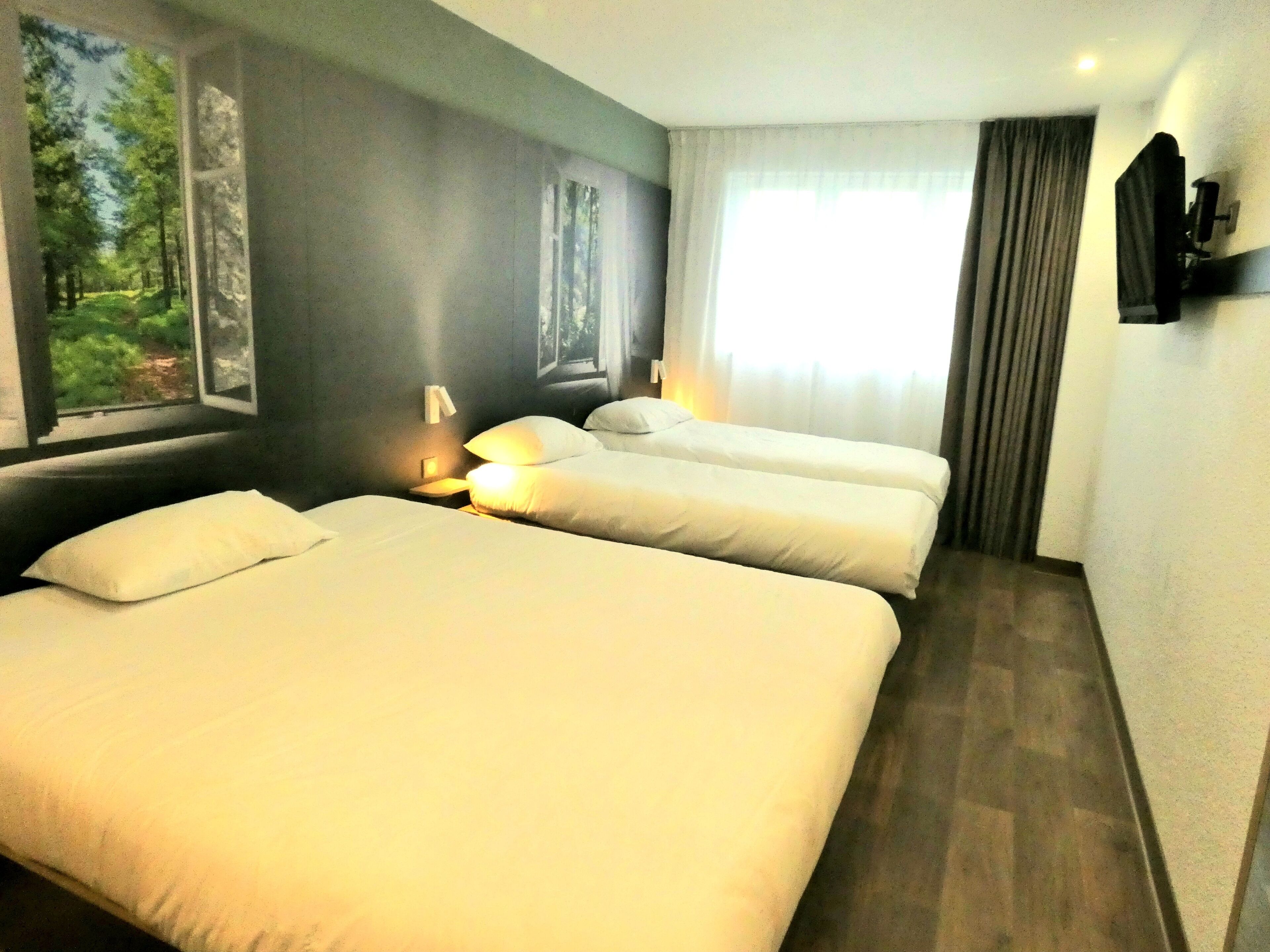 A hotel room with two beds, a painting of a forest, a TV mounted on the wall, and a window with curtains.