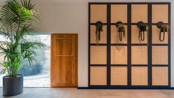 A modern interior with a large potted plant, a wooden door, and a wall-mounted plant display.