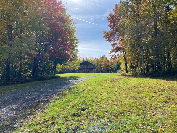 A house surrounded by trees with autumn foliage.