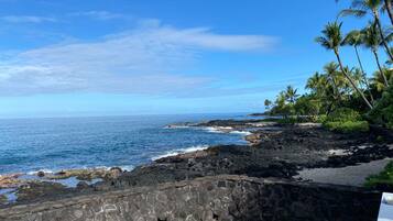 Une vue sur la côte, avec un mur de pierre, des vagues de l’océan et des palmiers.