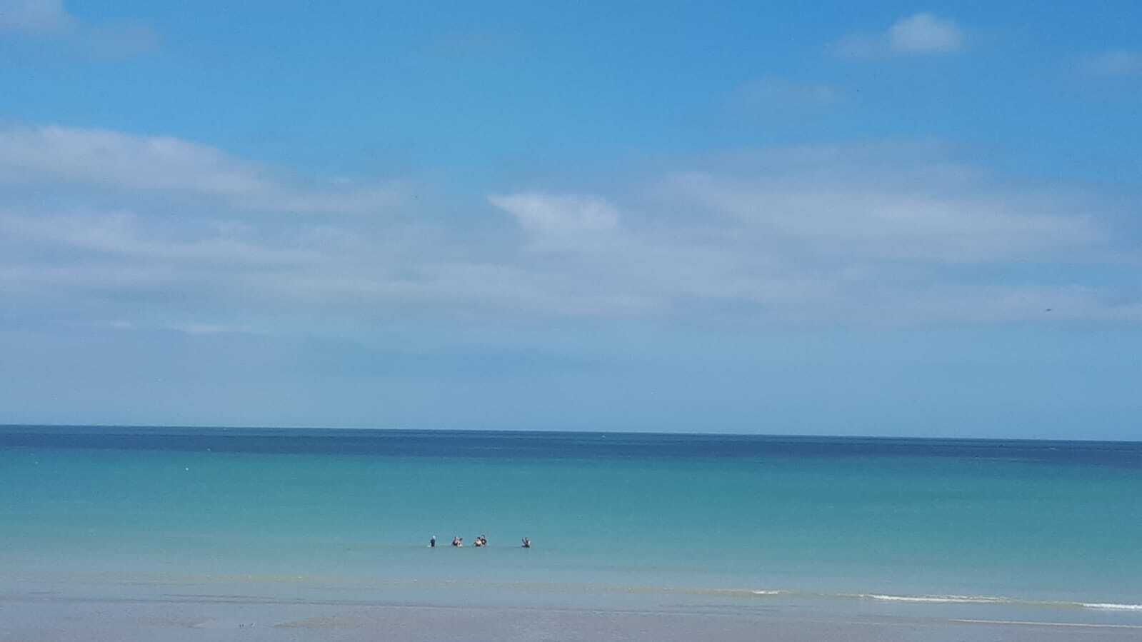 Playa en los alrededores y camastros 