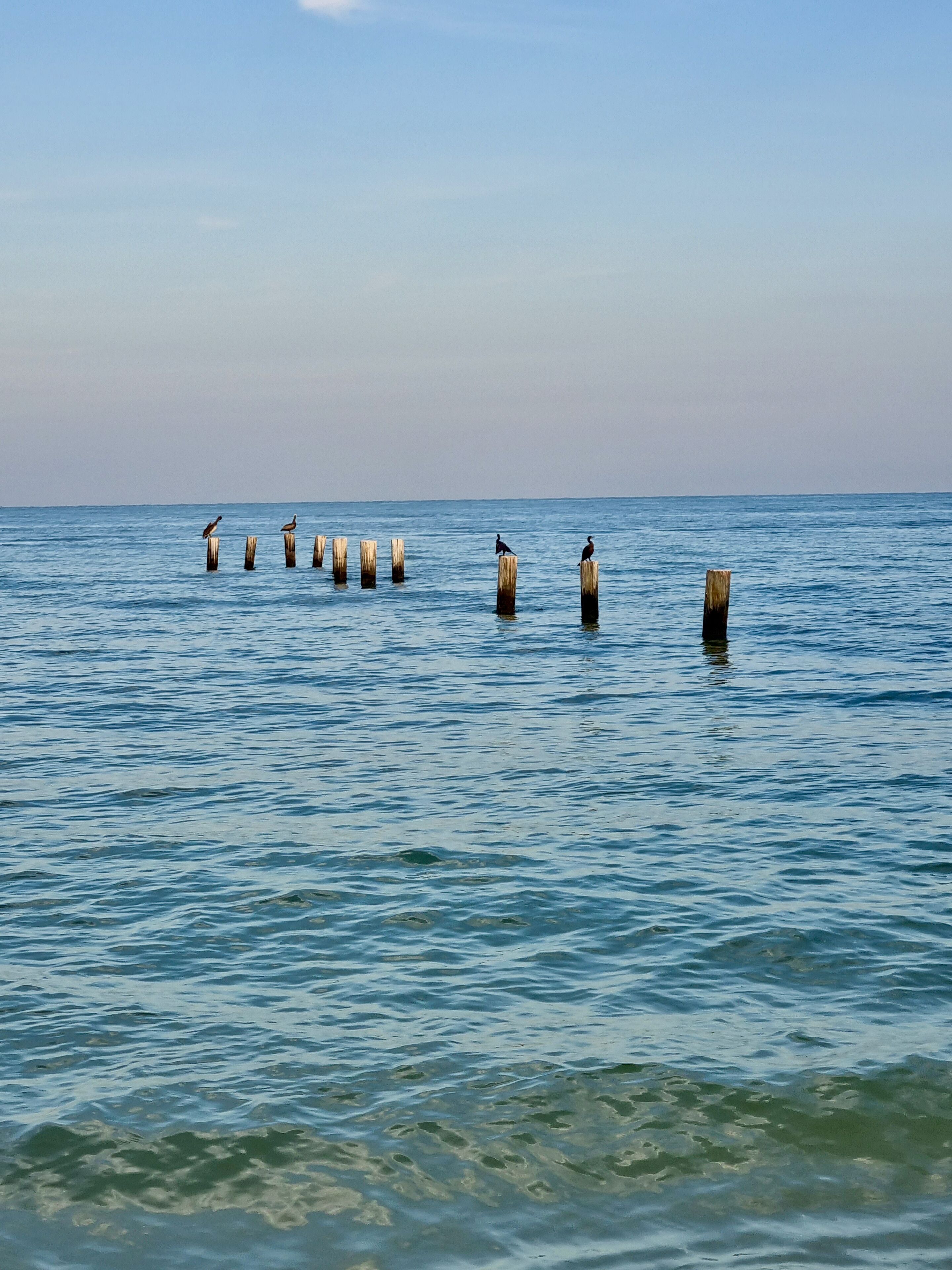 A calm sea with wooden posts in the water.