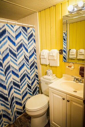 Un bagno con tenda doccia, un water, un lavandino e uno specchio.