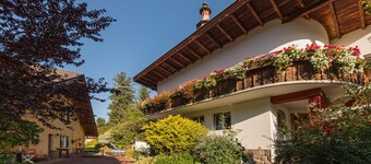 Large Chalet near facilities