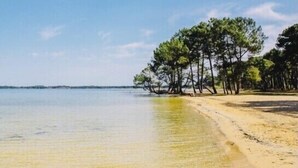 Una playa con agua cristalina, orilla de arena y árboles.