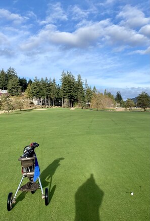 Enjoy a round of golf on our well-maintained course, surrounded by trees and local homes.