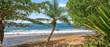 Una spiaggia nelle vicinanze