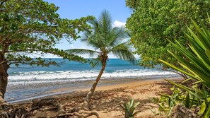 Una playa con una palmera, olas del océano y una orilla arenosa.