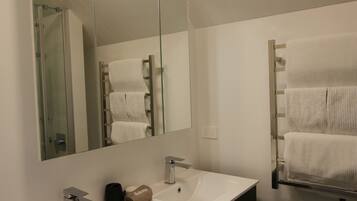 Shower, hair dryer, towels, soap