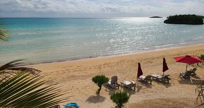 Trela Sands #3 in Eleuthera Bahamas 1 Bedroom studio right on the beach