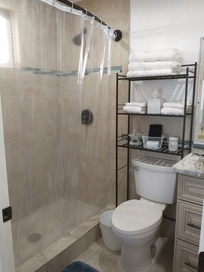 Bathtub, hair dryer, towels, soap