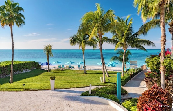 A beach resort with palm trees, a sandy beach, and umbrellas.