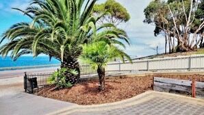 Un sendero empedrado con una palmera y un banco de madera.