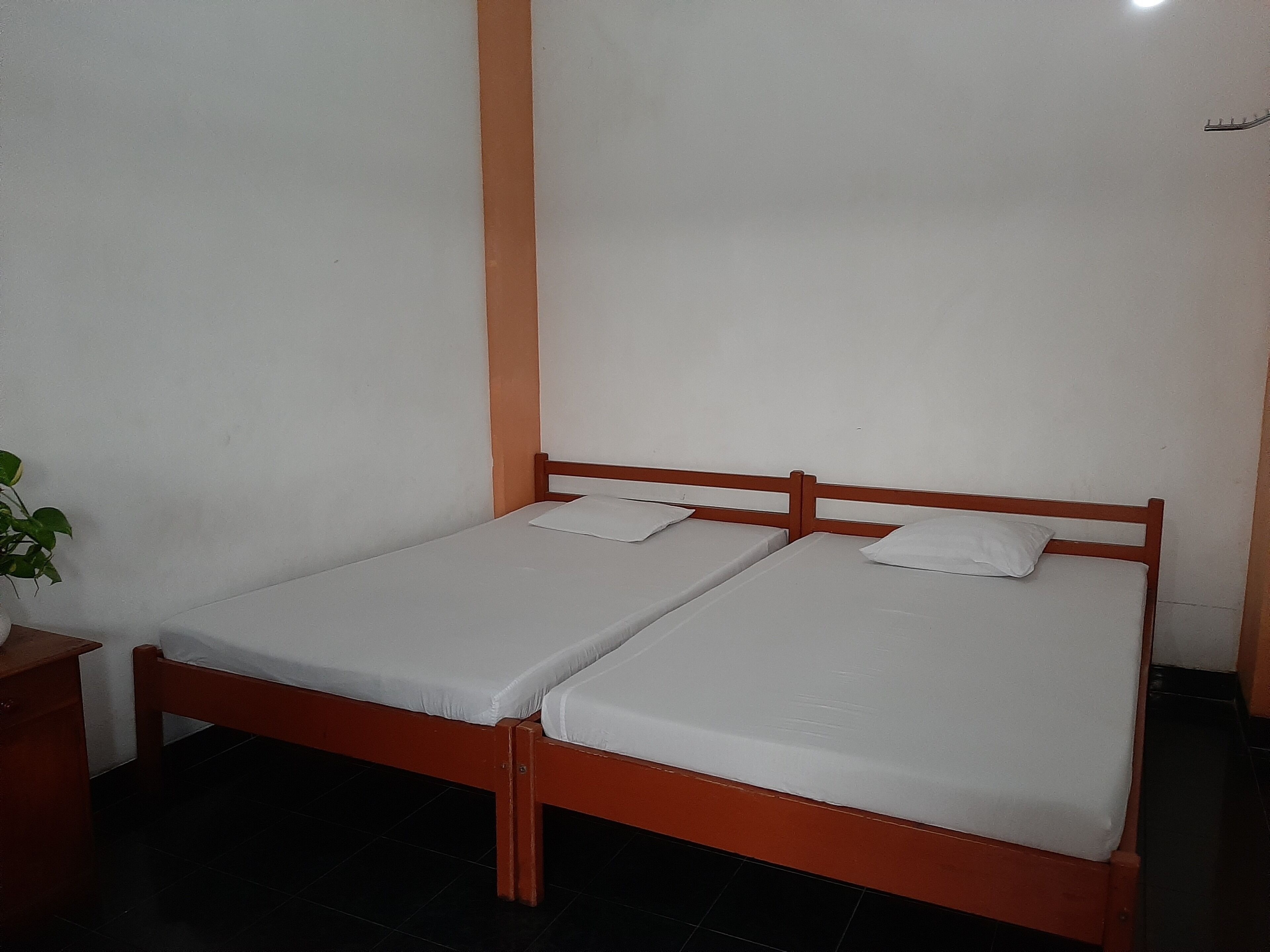 Une petite chambre propre, avec deux lits simples, une table de chevet et une plante en pot.